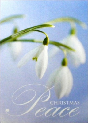 Snowdrops Christmas Cards - Pack of 5